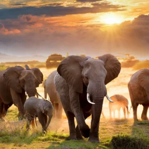 Spending Time Outdoors Linked to Better Mental HealthHealth Care Roulette