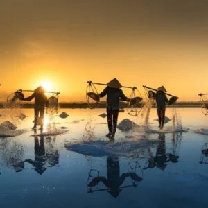 Celebrities Making Headlines with Climate Activism and Awareness